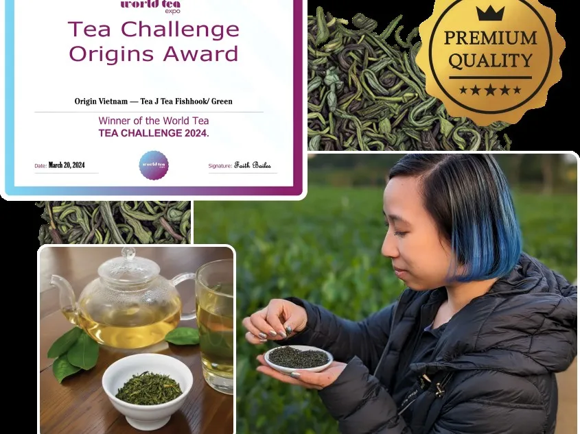 Tea J Tea sourcing partner harvesting tea leaves at a Vietnamese highland farm